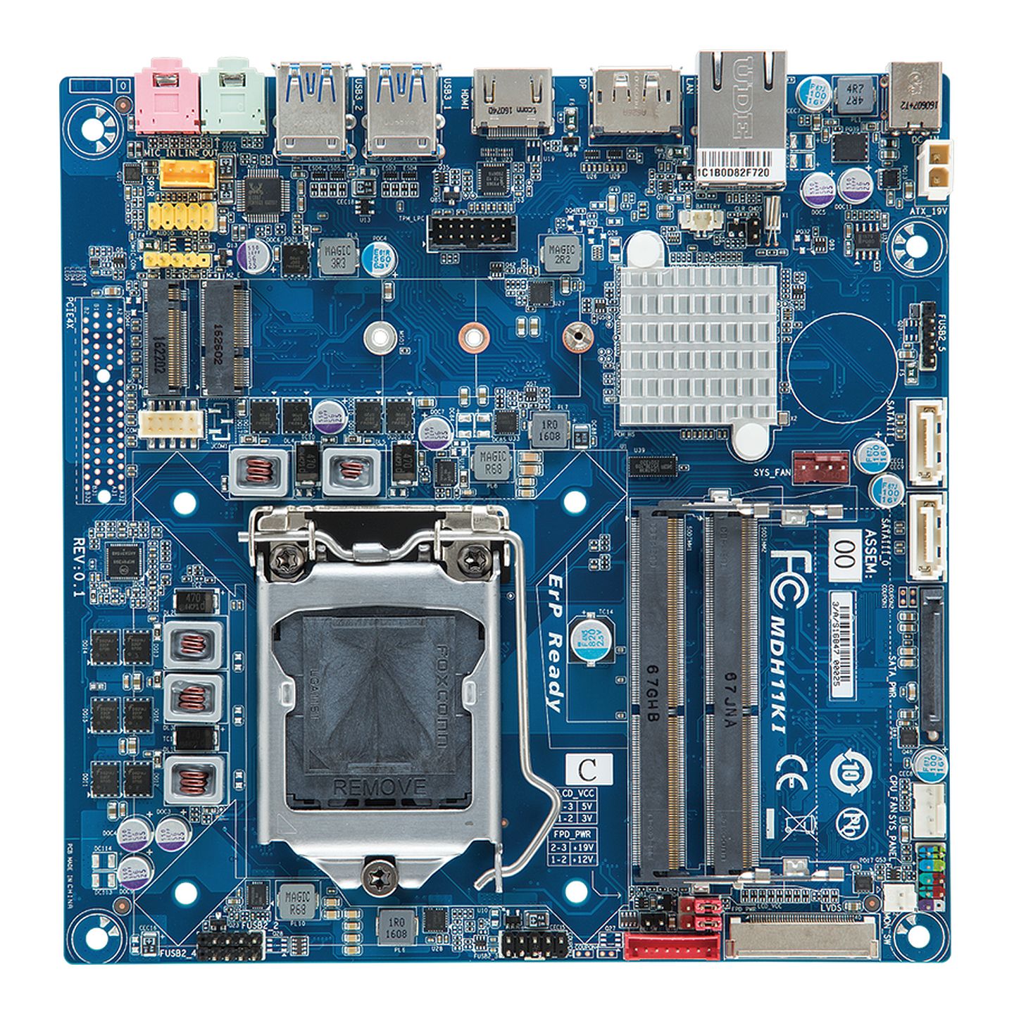iTXL-H110C